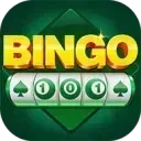 Bingo 101 APK Download